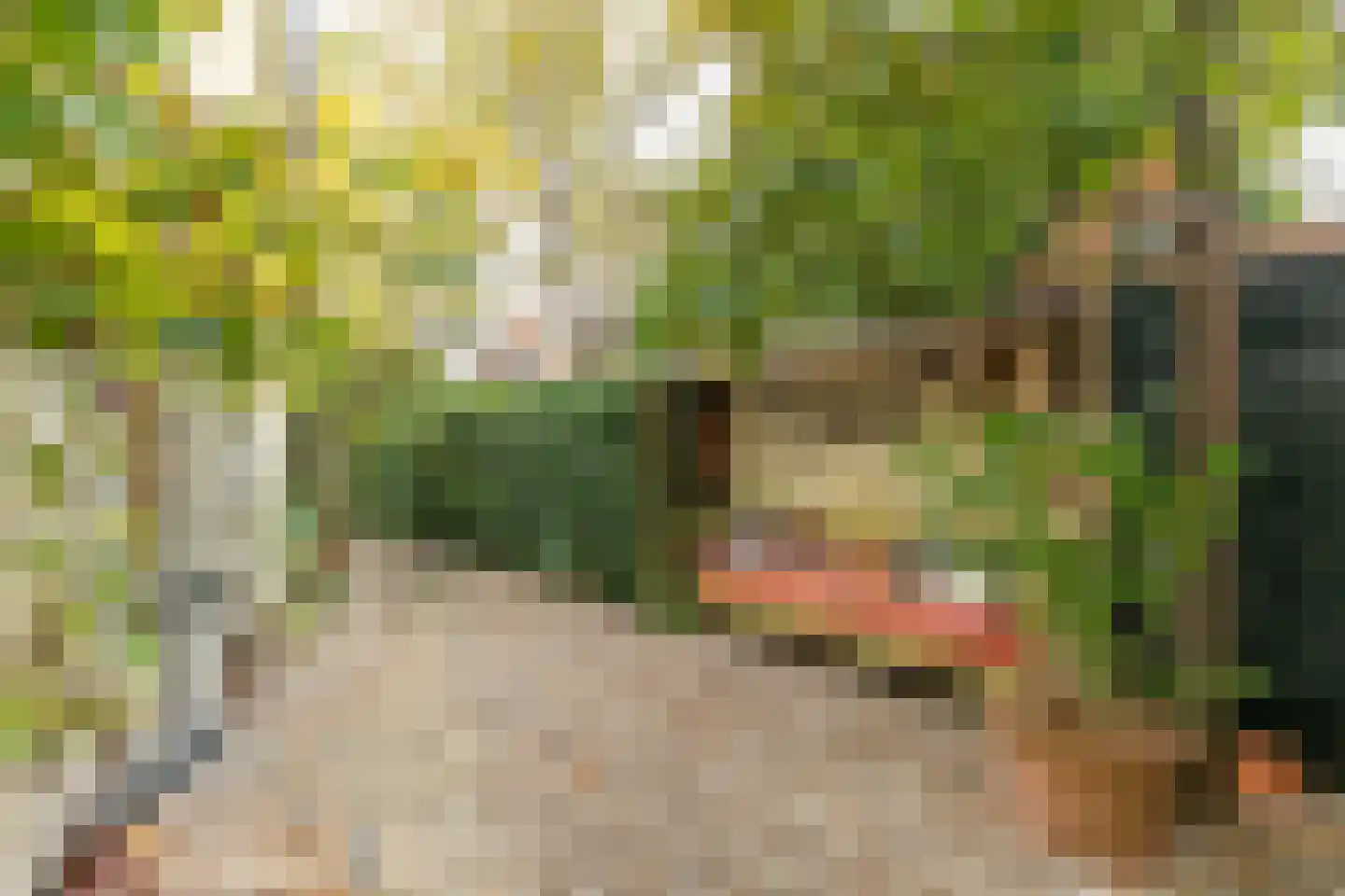 Nieuwstraat 16 Soest thumbnail 48