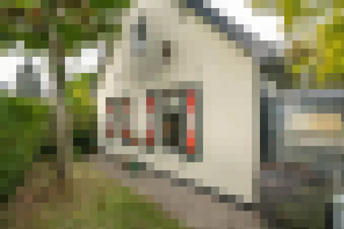 Nieuwstraat 16 Soest thumbnail 52