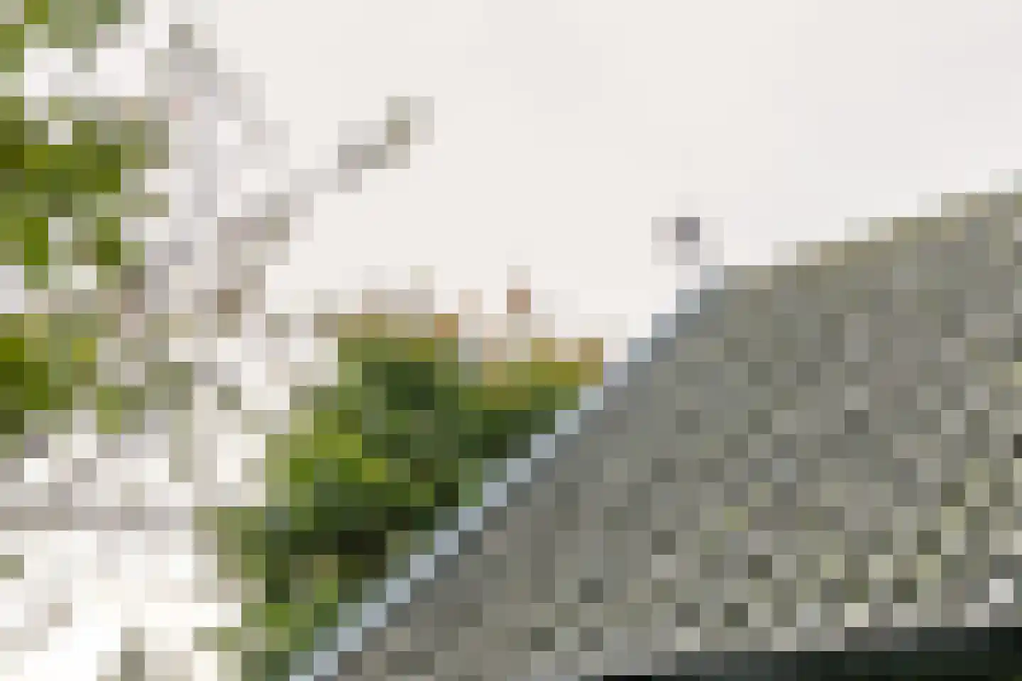 Nieuwstraat 16 Soest thumbnail 54