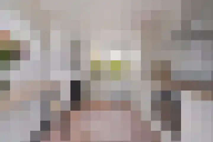 Nieuwstraat 16 Volkel thumbnail 14