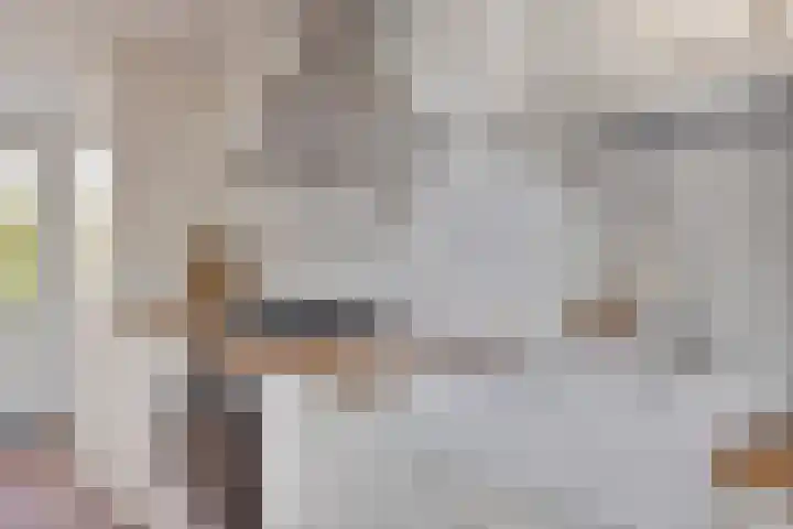 Nieuwstraat 16 Volkel thumbnail 15