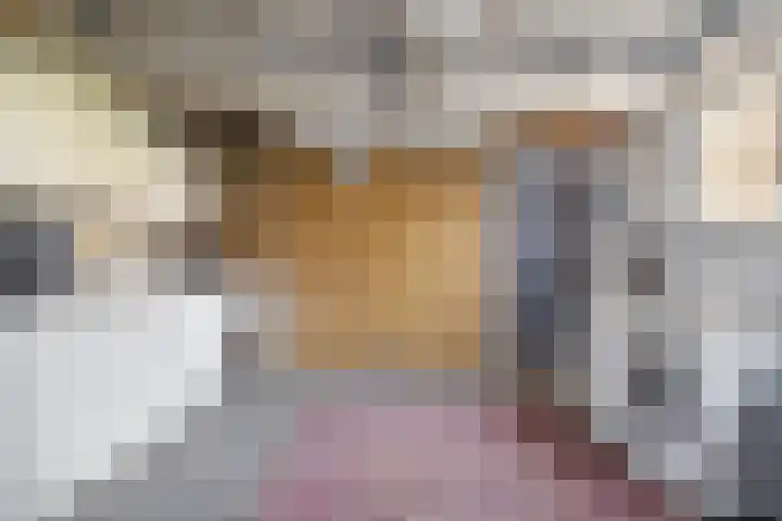 Nieuwstraat 16 Volkel thumbnail 20