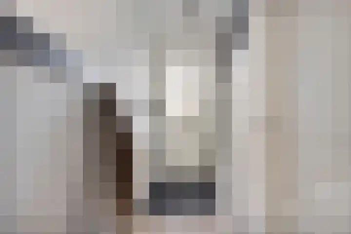 Nieuwstraat 16 Volkel thumbnail 21