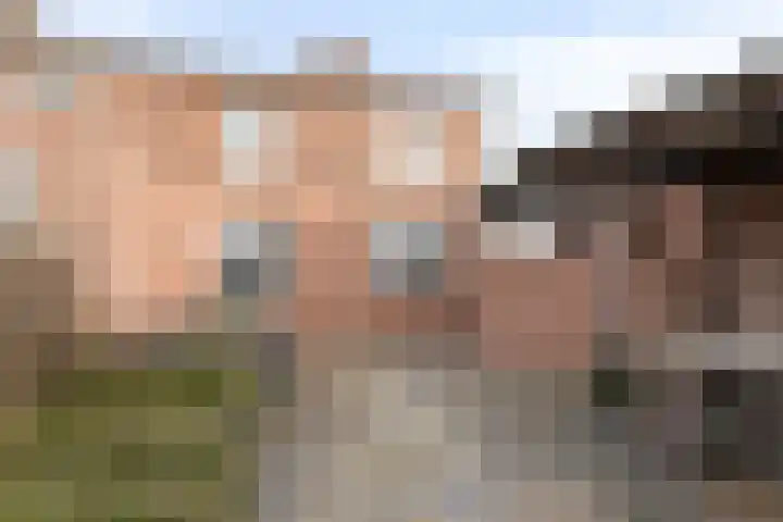 Nieuwstraat 16 Volkel thumbnail 32
