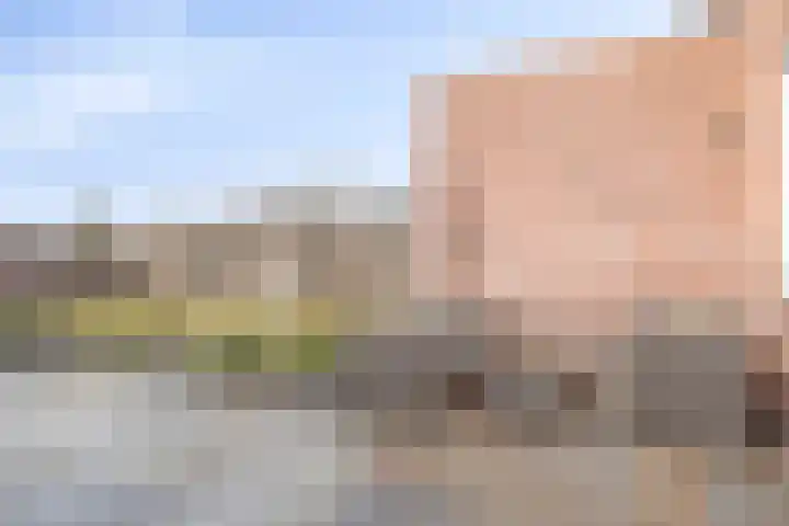 Nieuwstraat 16 Volkel thumbnail 34
