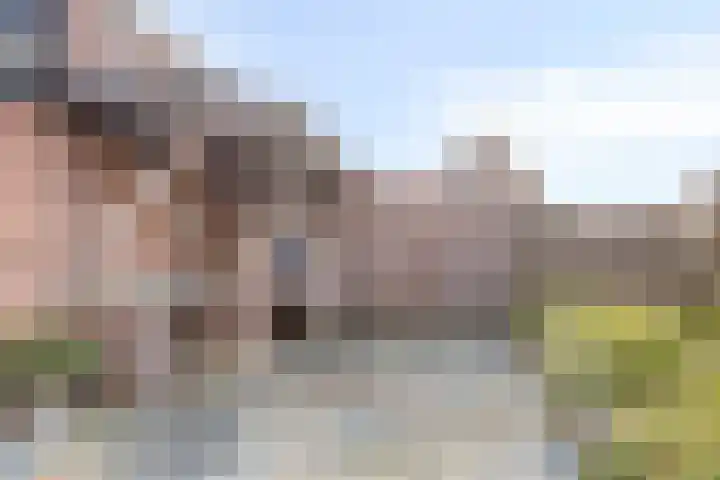 Nieuwstraat 16 Volkel thumbnail 35