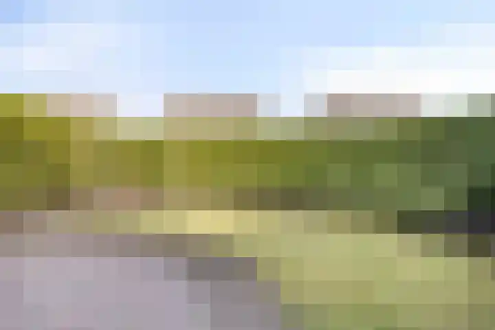 Nieuwstraat 16 Volkel thumbnail 39
