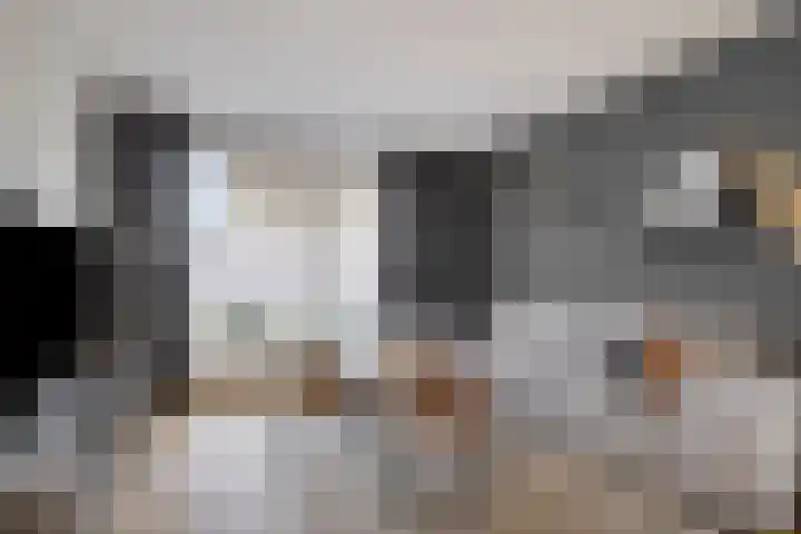Nieuwstraat 16 Volkel thumbnail 4