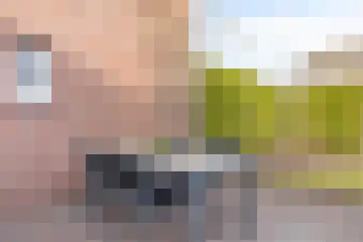 Nieuwstraat 16 Volkel thumbnail 40
