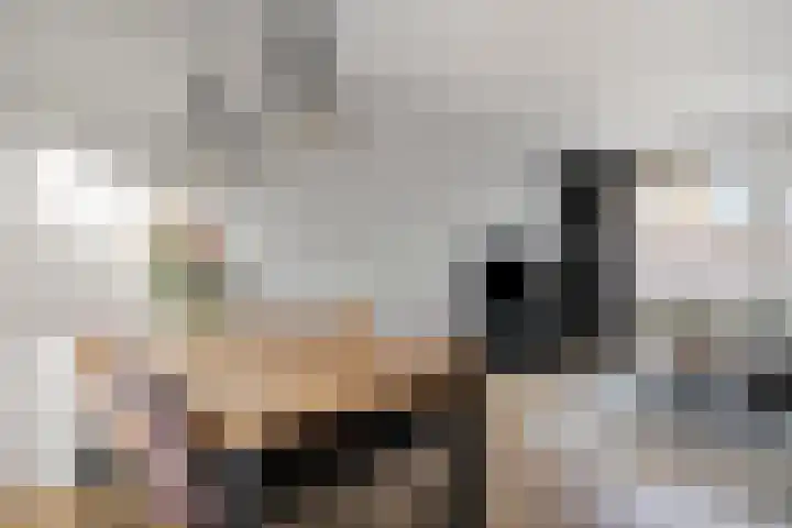 Nieuwstraat 16 Volkel thumbnail 8