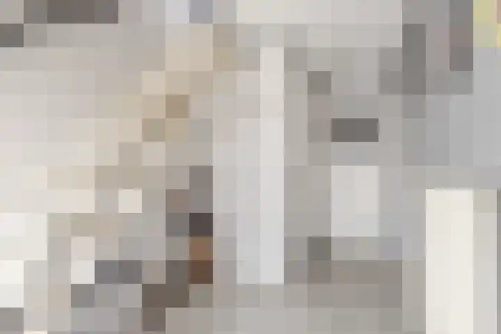 Nieuwstraat 16 Westmaas thumbnail 6