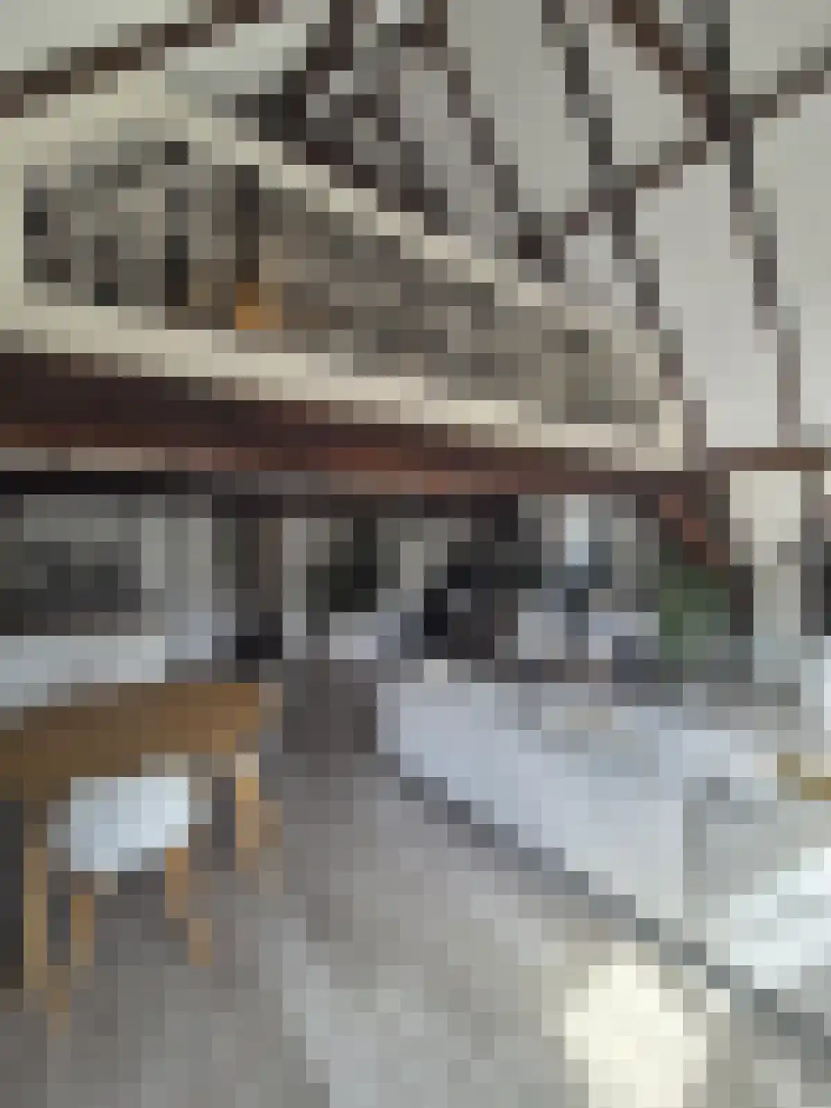 Nieuwstraat 16 Zwolle thumbnail 4