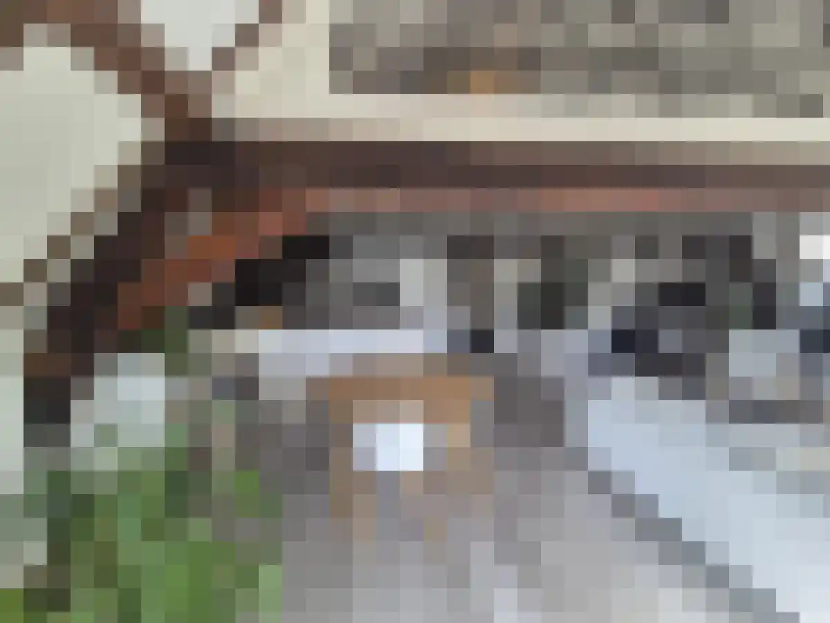 Nieuwstraat 16 Zwolle thumbnail 5