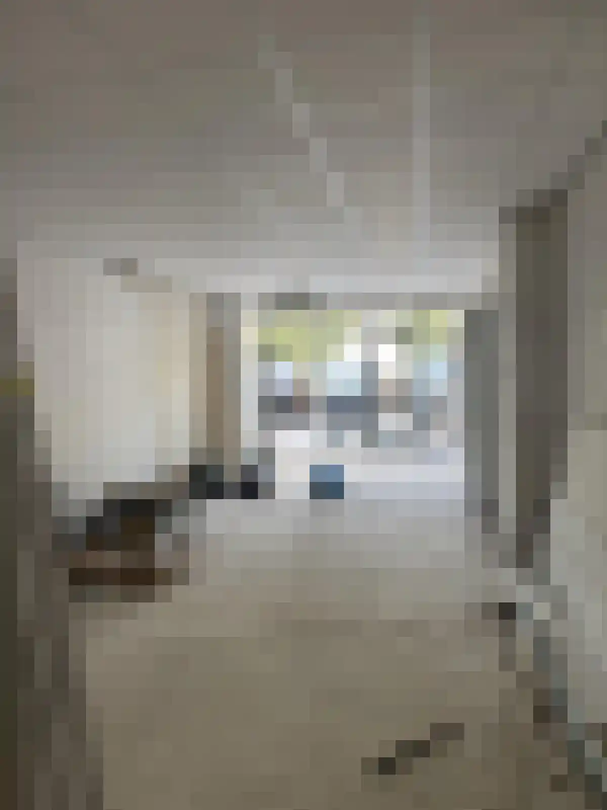 Nieuwstraat 161 Apeldoorn thumbnail 4