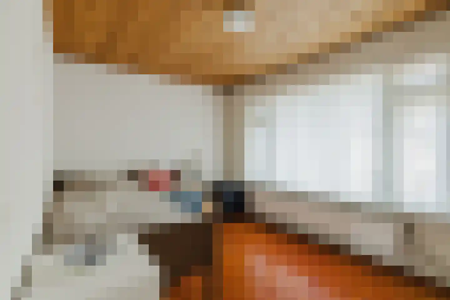 Nieuwstraat 165 Gilze thumbnail 22