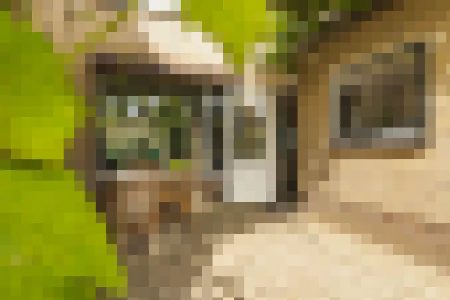 Nieuwstraat 165 Gilze thumbnail 31