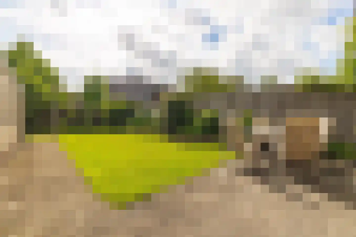 Nieuwstraat 165 Gilze thumbnail 33