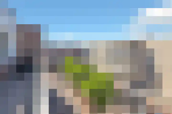 Nieuwstraat 168 Spijkenisse thumbnail 8