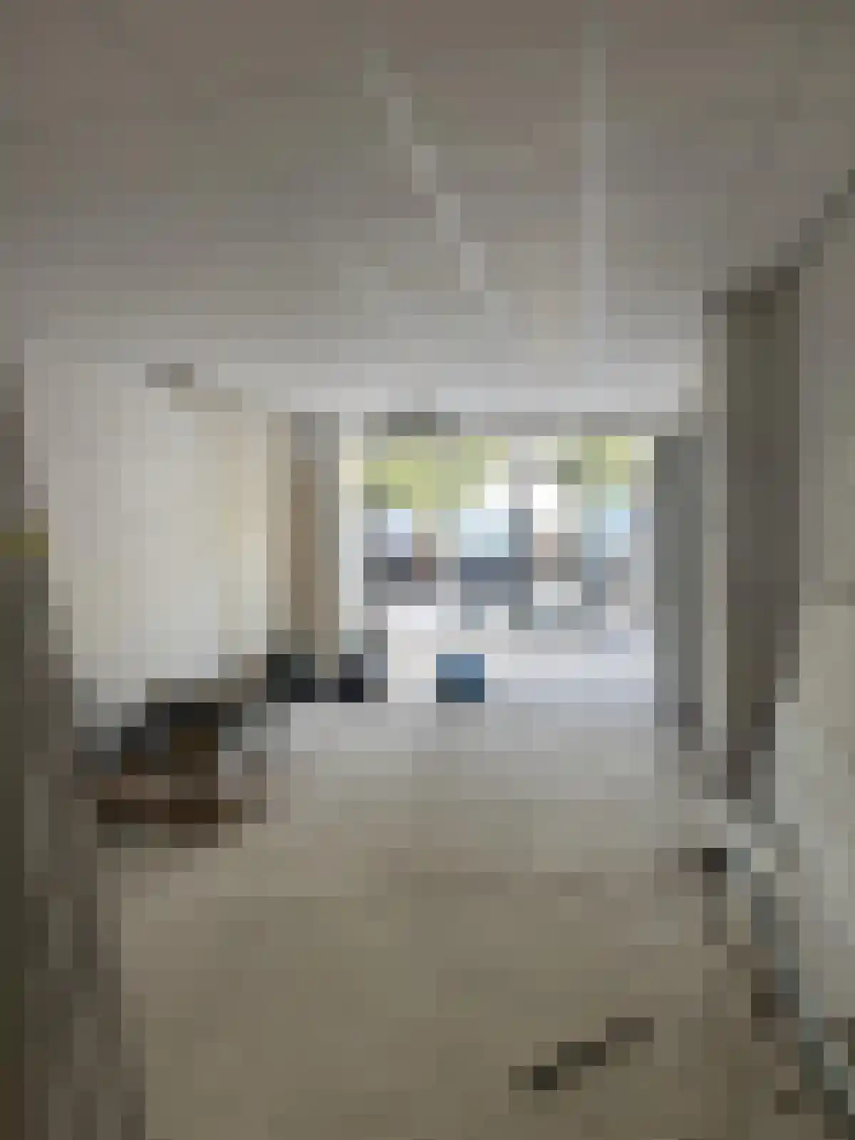 Nieuwstraat 169 Apeldoorn thumbnail 4