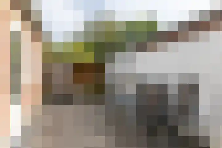 Nieuwstraat 17 Amstenrade thumbnail 21