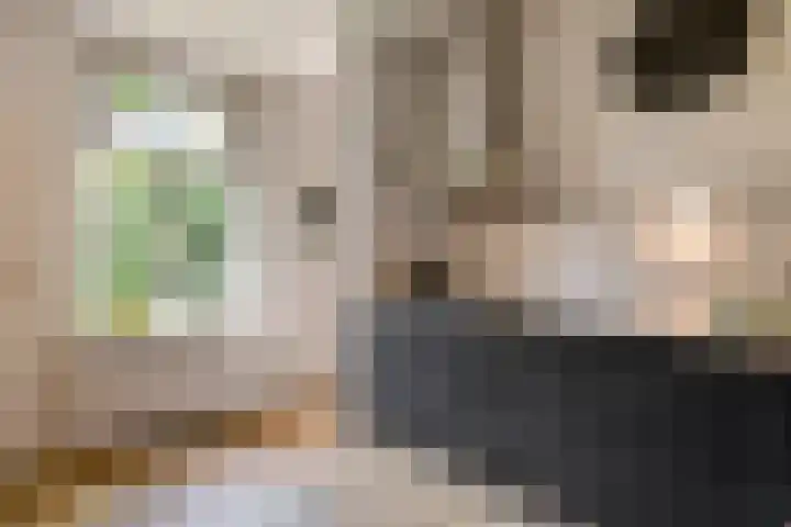 Nieuwstraat 17 Druten thumbnail 16