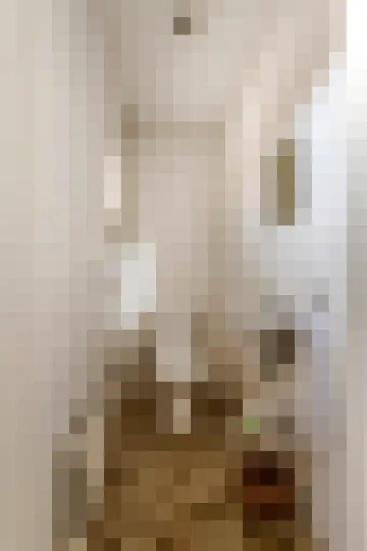 Nieuwstraat 17 Druten thumbnail 22