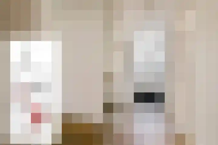 Nieuwstraat 17 Druten thumbnail 25