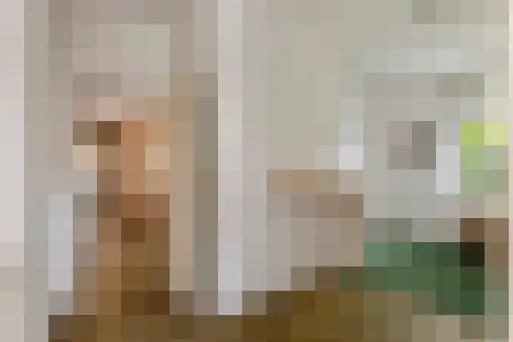 Nieuwstraat 17 Druten thumbnail 26