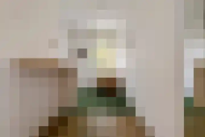 Nieuwstraat 17 Druten thumbnail 27
