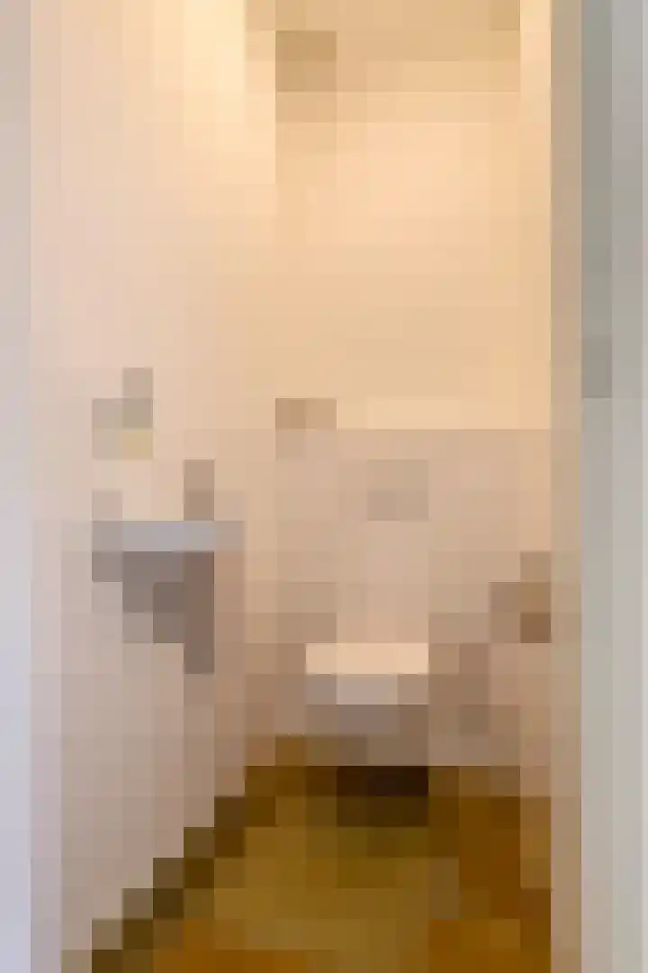 Nieuwstraat 17 Druten thumbnail 28
