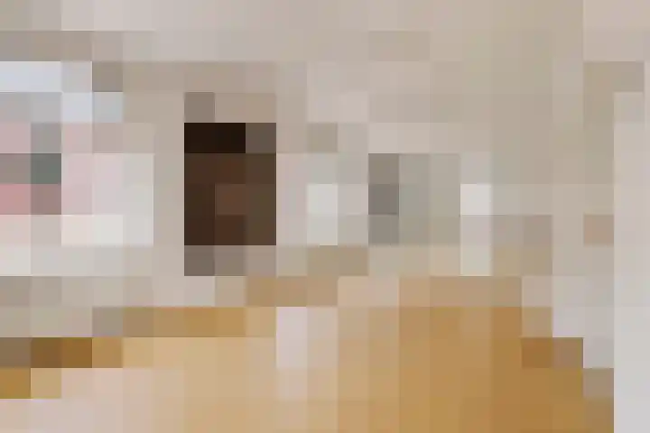 Nieuwstraat 17 Druten thumbnail 29