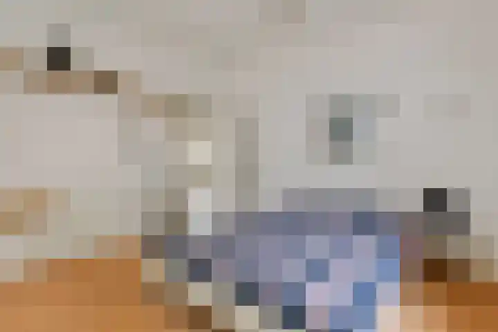 Nieuwstraat 17 Druten thumbnail 32