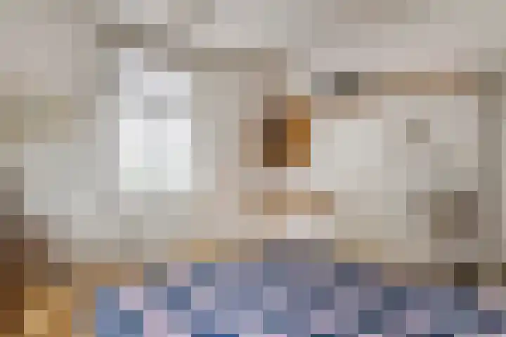 Nieuwstraat 17 Druten thumbnail 33
