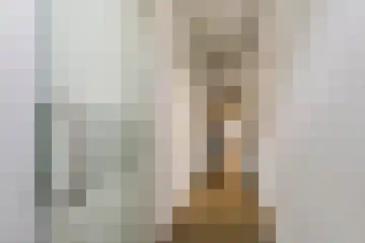 Nieuwstraat 17 Druten thumbnail 34