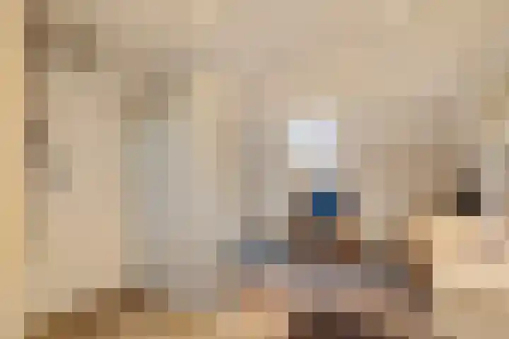 Nieuwstraat 17 Druten thumbnail 39