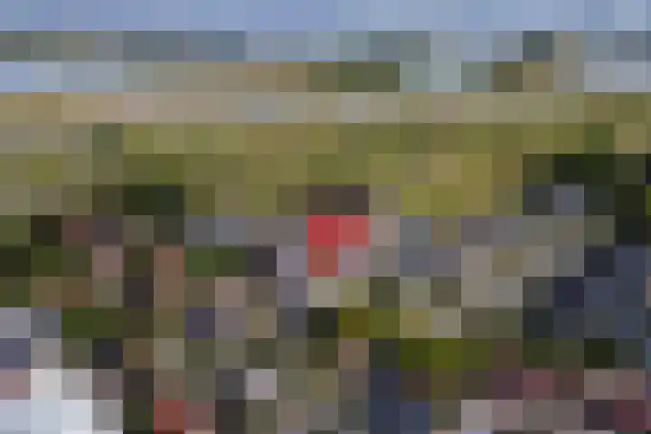 Nieuwstraat 17 Druten thumbnail 4