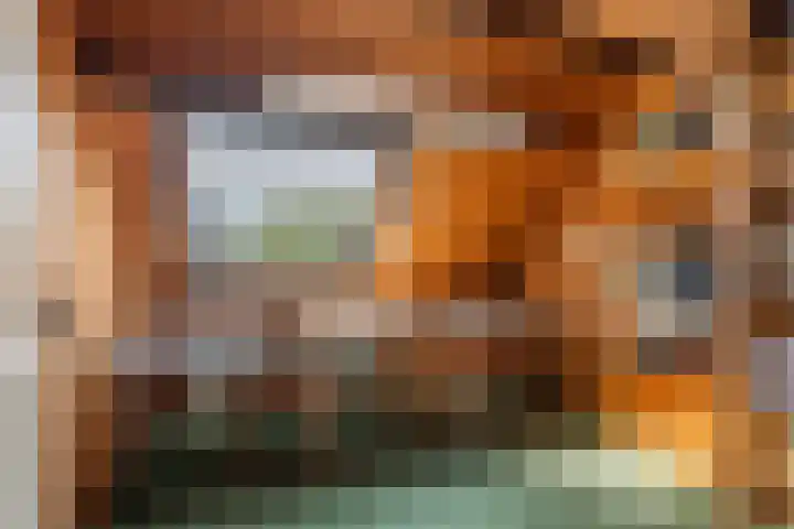 Nieuwstraat 17 Druten thumbnail 42