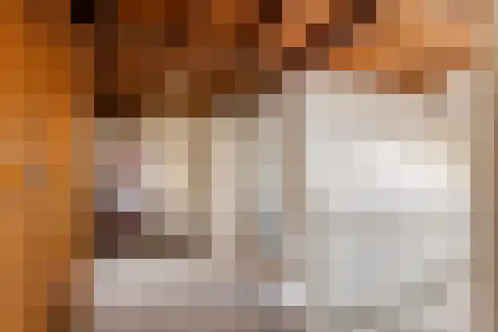 Nieuwstraat 17 Druten thumbnail 45