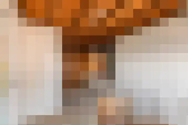 Nieuwstraat 17 Druten thumbnail 47