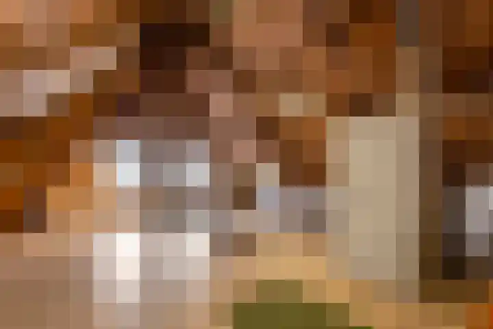 Nieuwstraat 17 Druten thumbnail 49