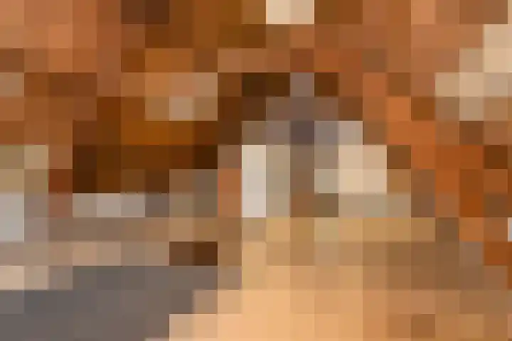 Nieuwstraat 17 Druten thumbnail 50