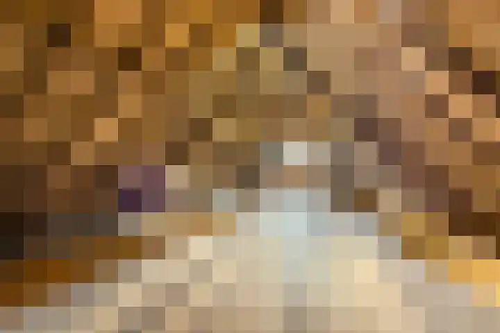 Nieuwstraat 17 Druten thumbnail 51