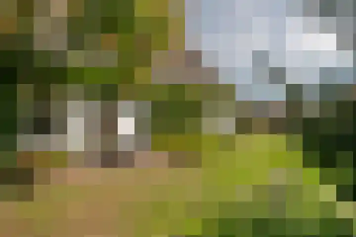 Nieuwstraat 17 Druten thumbnail 52