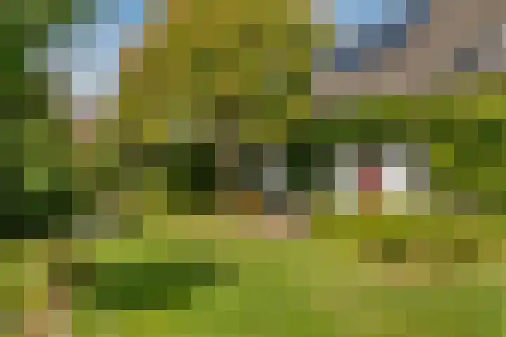 Nieuwstraat 17 Druten thumbnail 53