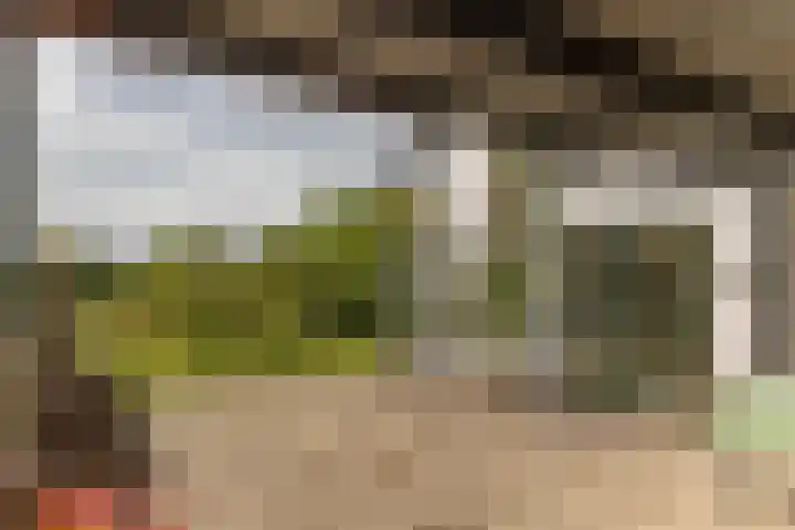 Nieuwstraat 17 Druten thumbnail 54