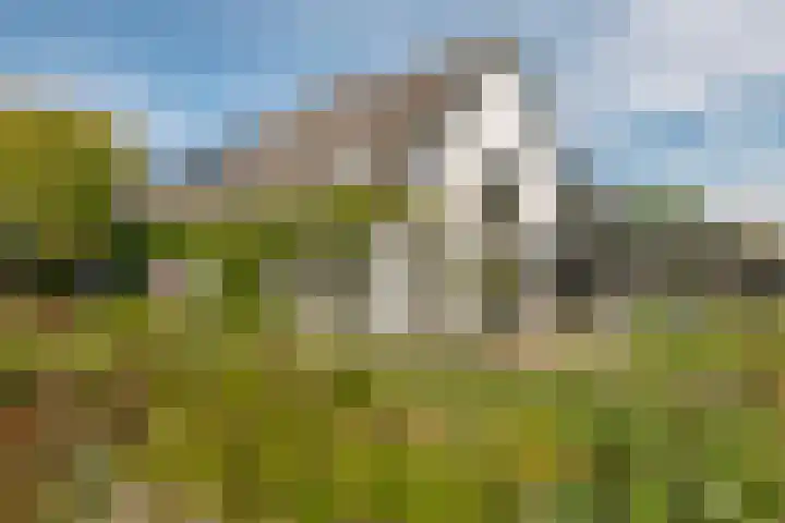 Nieuwstraat 17 Druten thumbnail 56