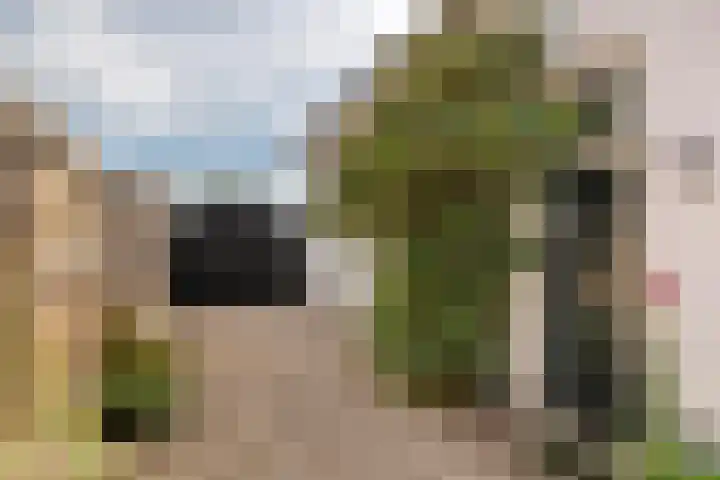 Nieuwstraat 17 Druten thumbnail 59