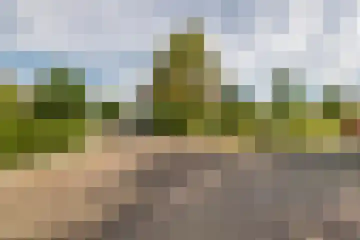 Nieuwstraat 17 Druten thumbnail 63
