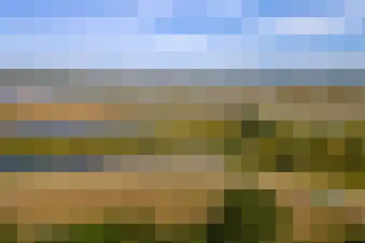 Nieuwstraat 17 Druten thumbnail 65