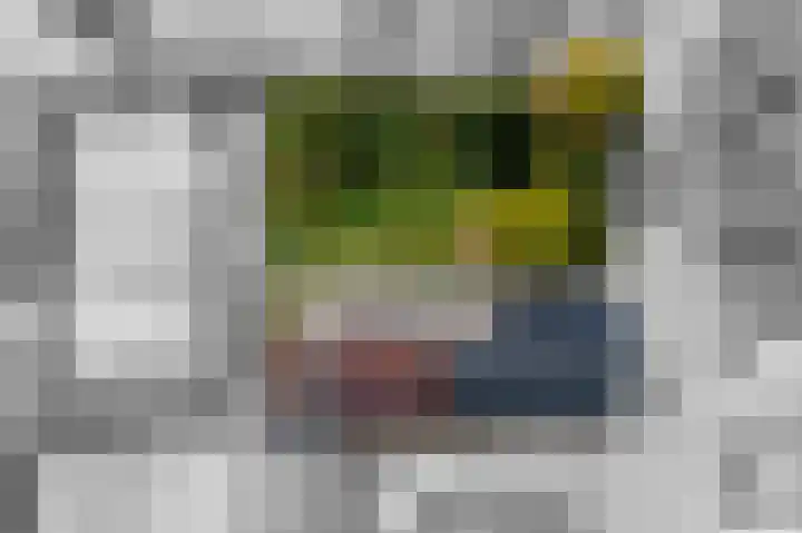 Nieuwstraat 17 Druten thumbnail 66